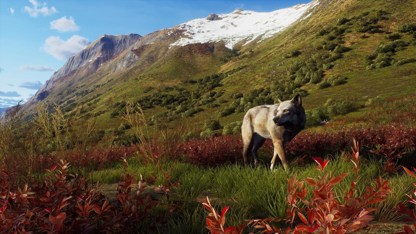 Way of the Hunter - Wild Expeditions (PlayStation 5)