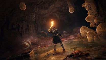 Elden Ring (PlayStation 5)