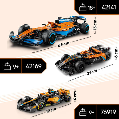 LEGO® | Technic: NEOM McLaren Formule E Race Car (42169)