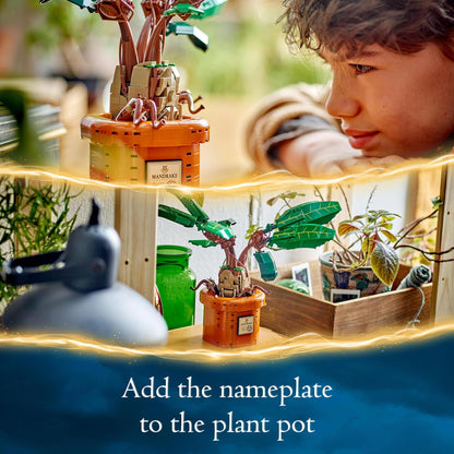 LEGO® | Harry Potter: Mandrake (76433)