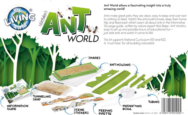 Ant World