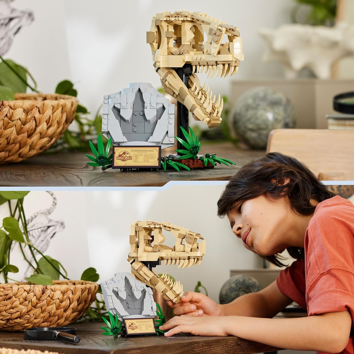 LEGO® | Jurassic World: Dinosaur Fossils (76964)