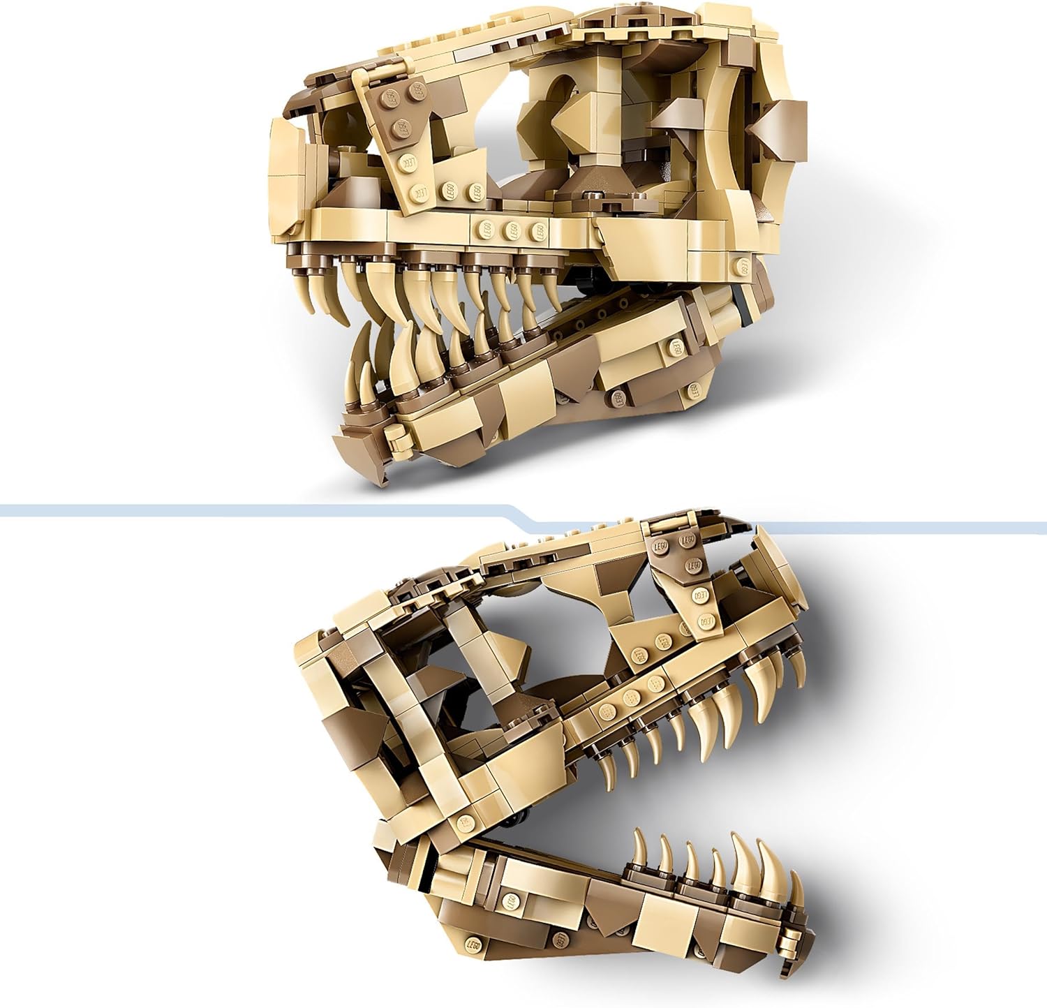 LEGO® | Jurassic World: Dinosaur Fossils (76964)