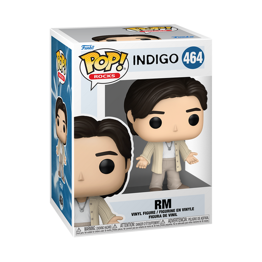 Funko POP Rocks BTS RM Wildflower boxed figure
