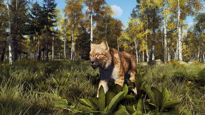 Way of the Hunter - Wild Expeditions (PlayStation 5)