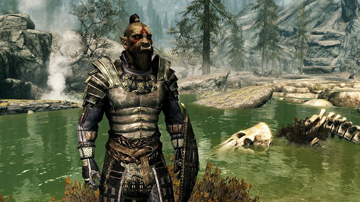 The Elder Scrolls V: Skyrim (Nintendo Switch)