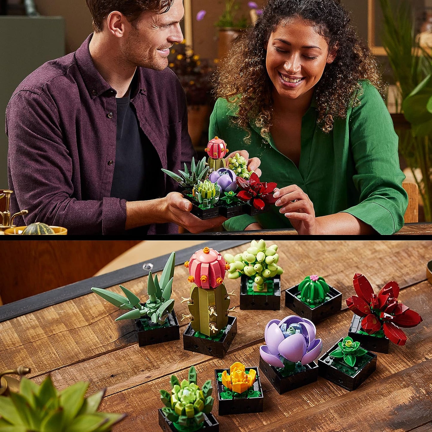 LEGO® | Botanicals: Succulents (10309)