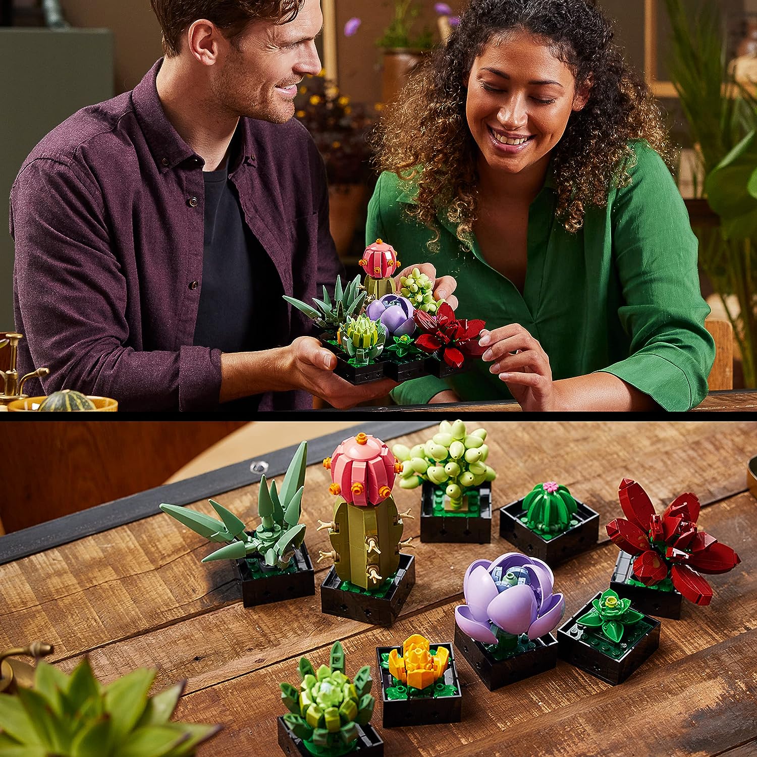 LEGO® | Botanicals: Succulents (10309)