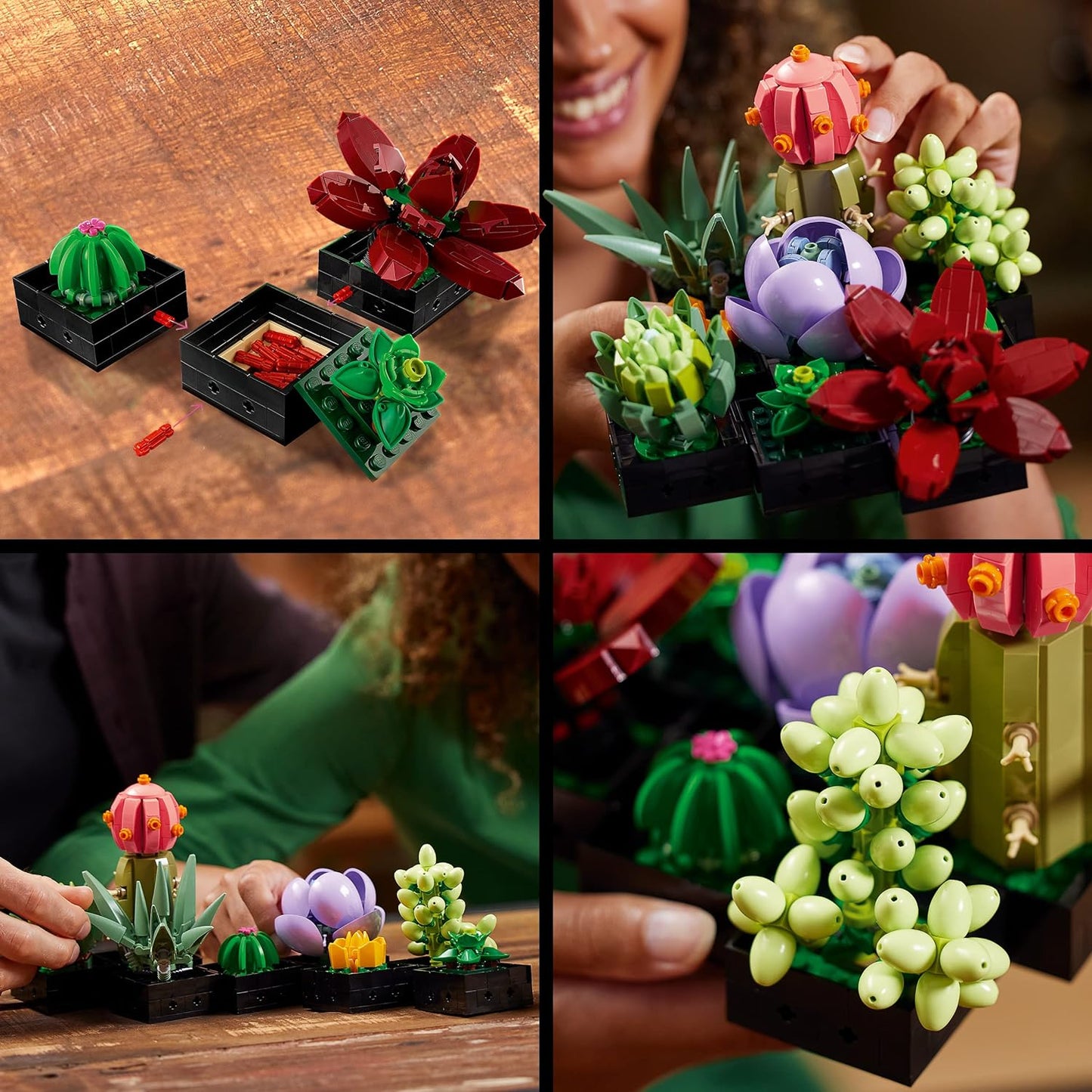 LEGO® | Botanicals: Succulents (10309)