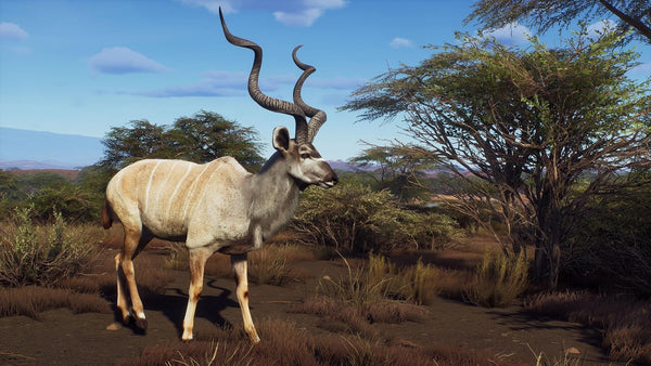 Way of the Hunter - Wild Expeditions (PlayStation 5)