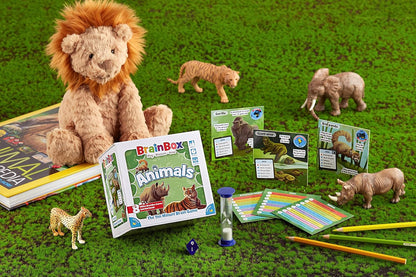 BRAINBOX: ANIMALS (2022)
