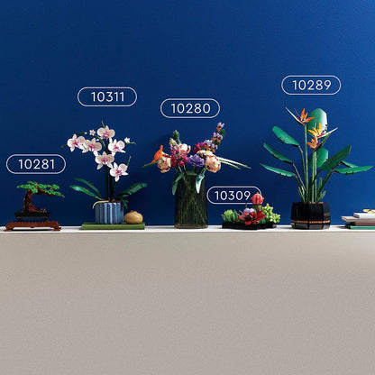 LEGO® | Botanicals: Succulents (10309)