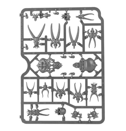 Warhammer Citadel: Skulls