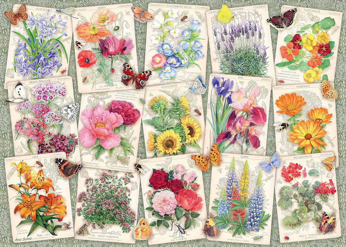 Country Garden Favourites, 1000pc