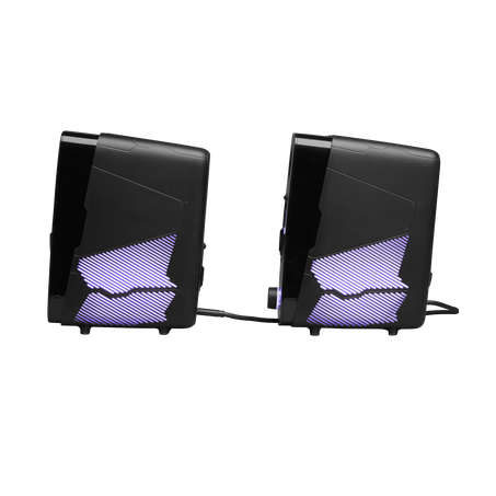 JBL Quantum Duo Speakers