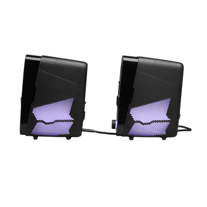 JBL Quantum Duo Speakers