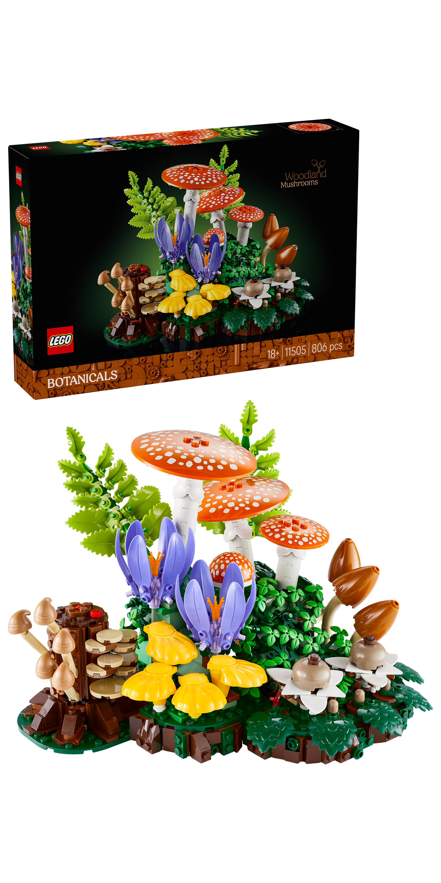 LEGO® | Botanicals: Woodland Mushrooms (11505) - box and product image