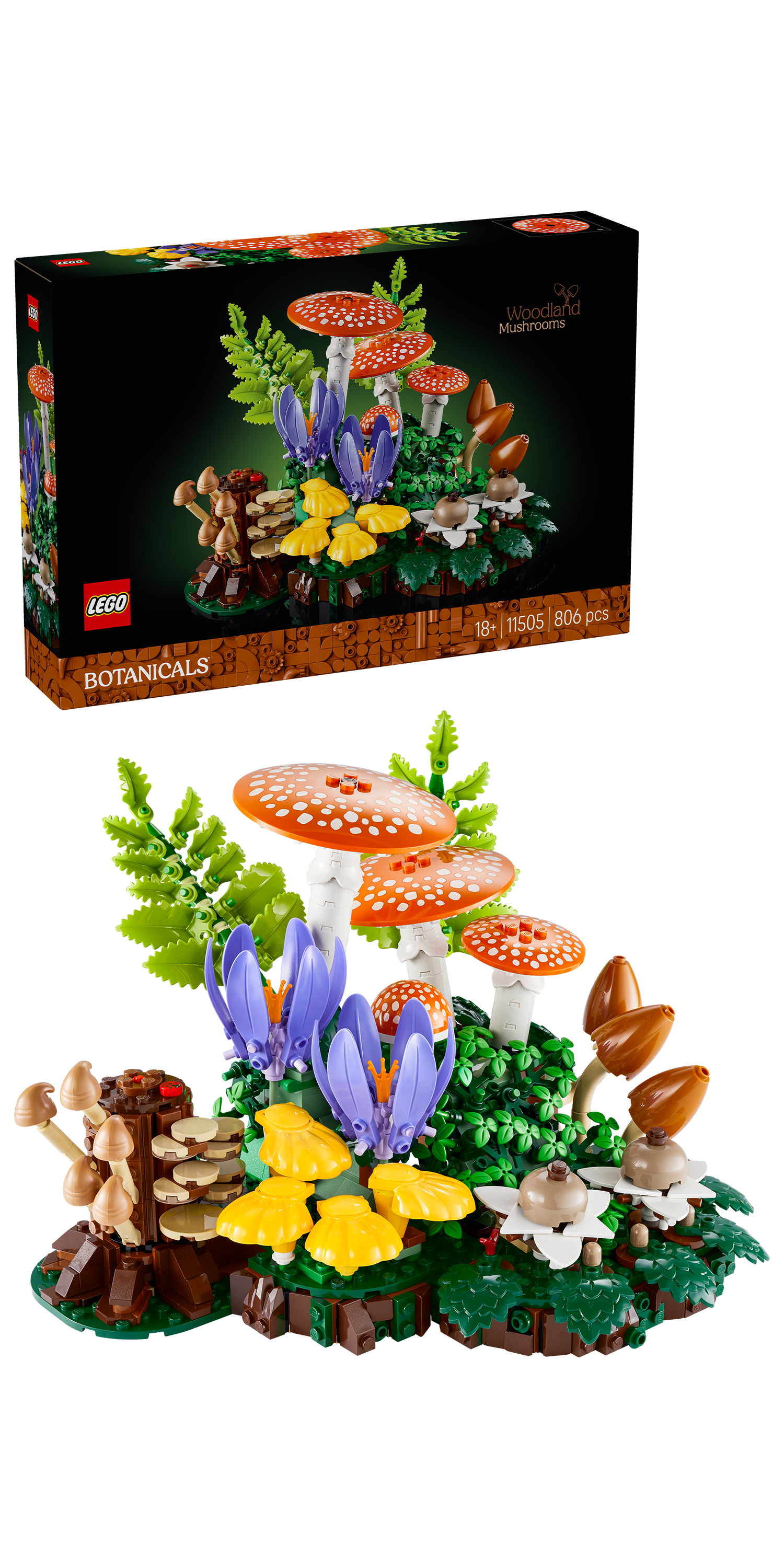 LEGO® | Botanicals: Woodland Mushrooms (11505) - box and product image