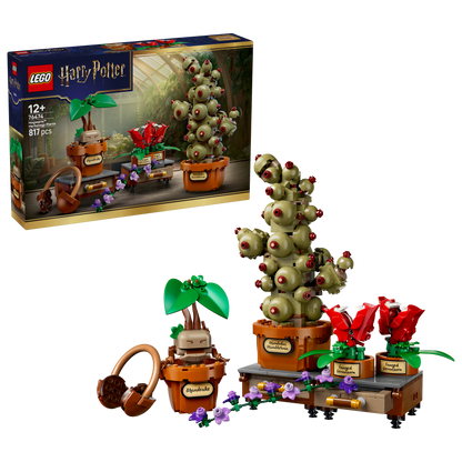 LEGO® | Harry Potter: Hogwarts Herbology Plants (76474) - box and product image