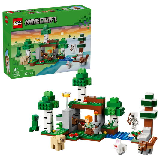 LEGO® | Minecraft: First Night Adventure (21593) - box and product image