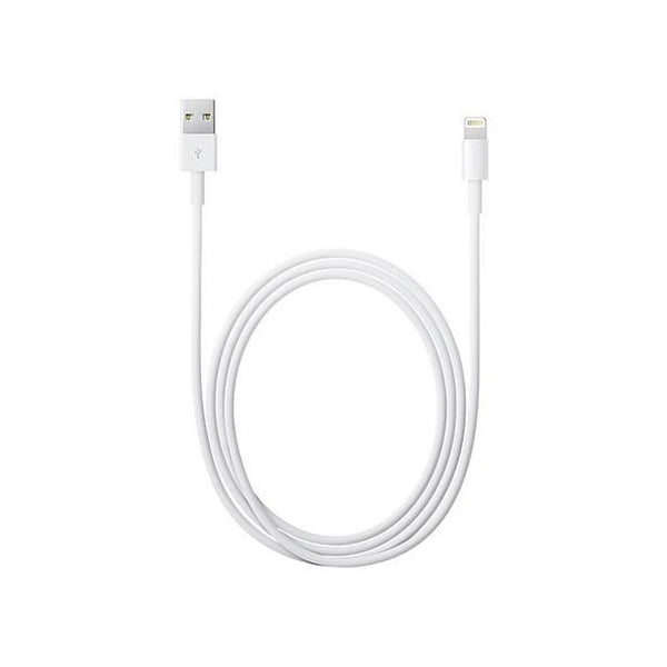 Apple Lightning to USB cable 2M