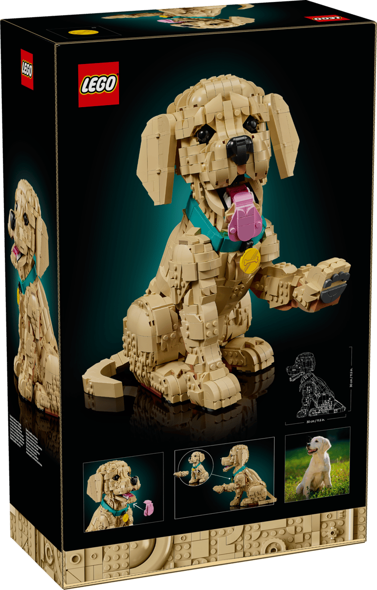 LEGO® | Icons: Golden Retriever Puppy (11384)