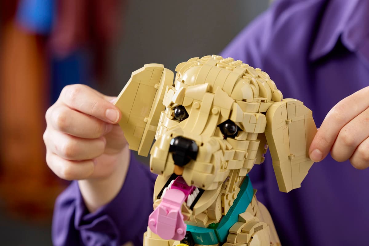 LEGO® | Icons: Golden Retriever Puppy (11384)
