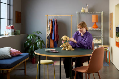 LEGO® | Icons: Golden Retriever Puppy (11384)