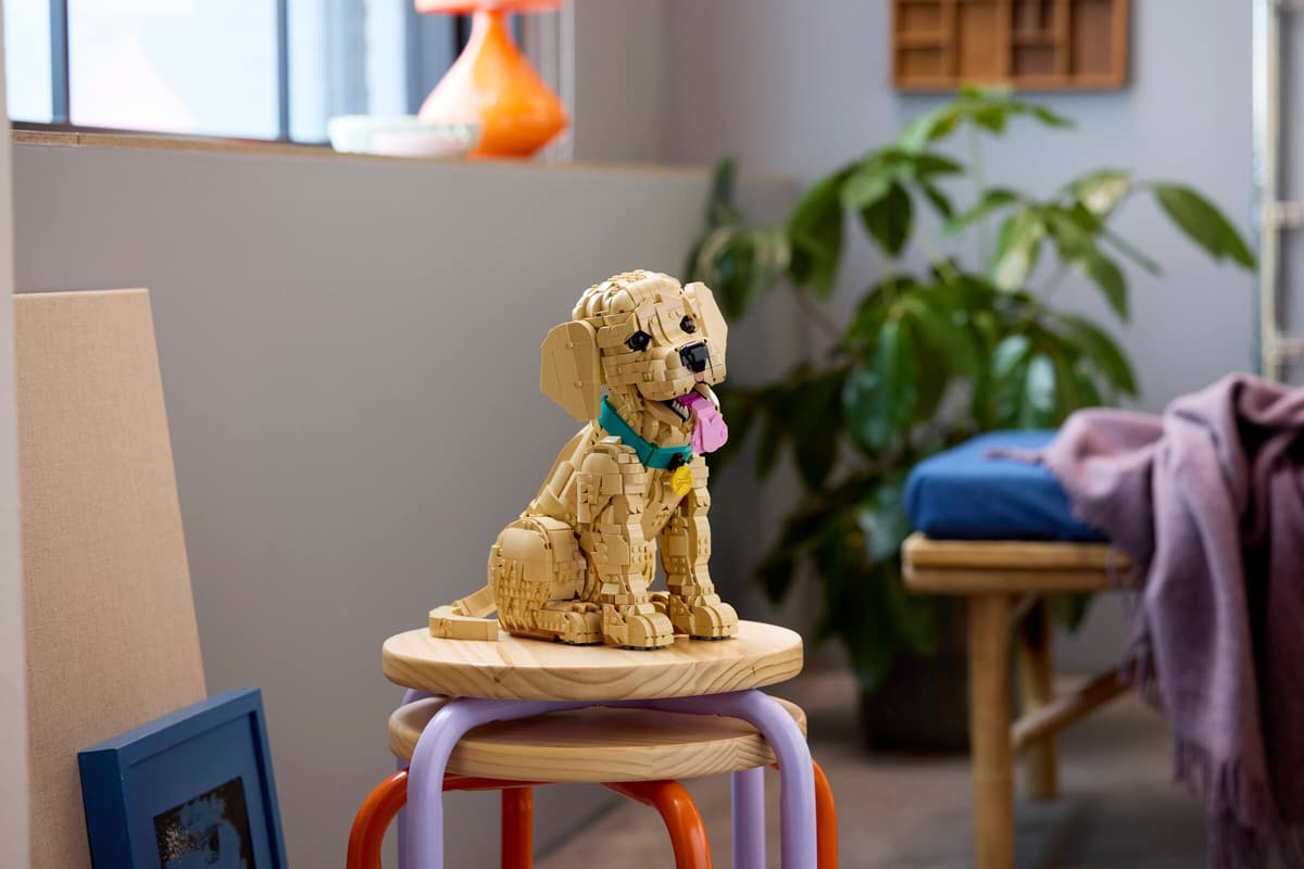 LEGO® | Icons: Golden Retriever Puppy (11384)
