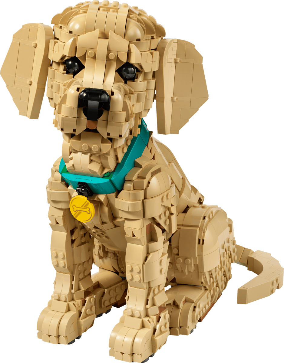 LEGO® | Icons: Golden Retriever Puppy (11384)
