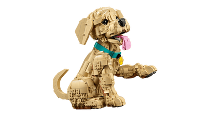 LEGO® | Icons: Golden Retriever Puppy (11384)