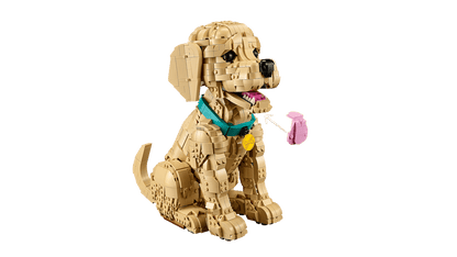 LEGO® | Icons: Golden Retriever Puppy (11384)