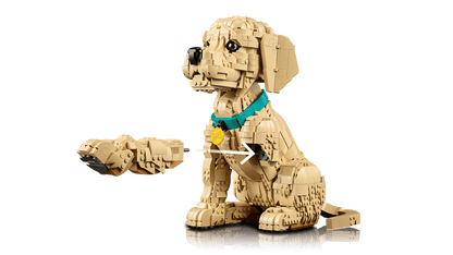 LEGO® | Icons: Golden Retriever Puppy (11384)