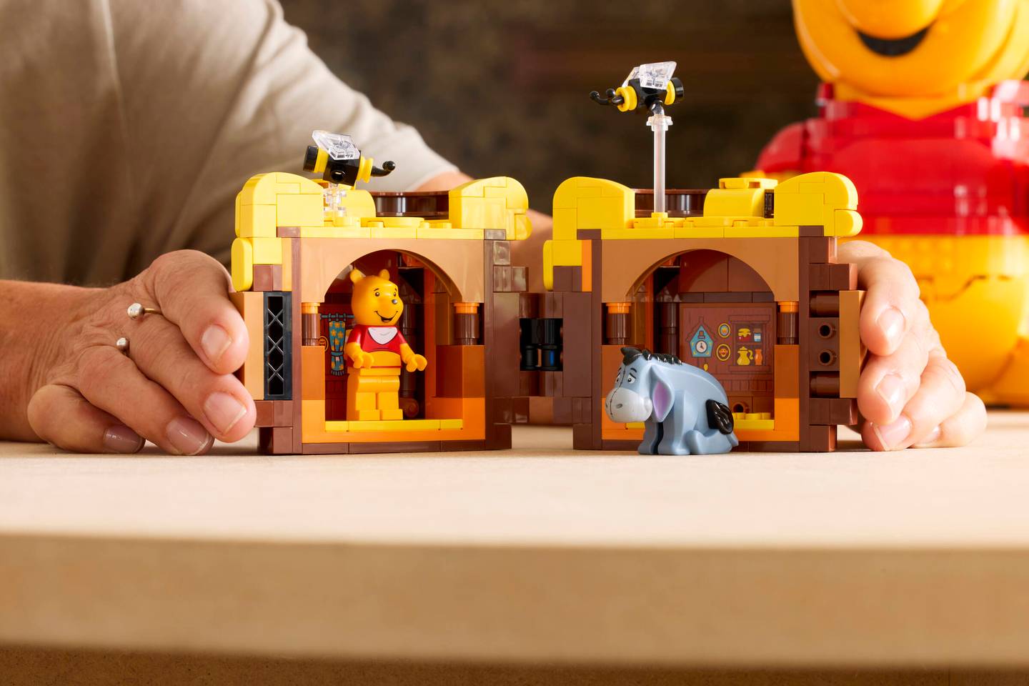 LEGO® | Disney: Winnie the Pooh (43300)