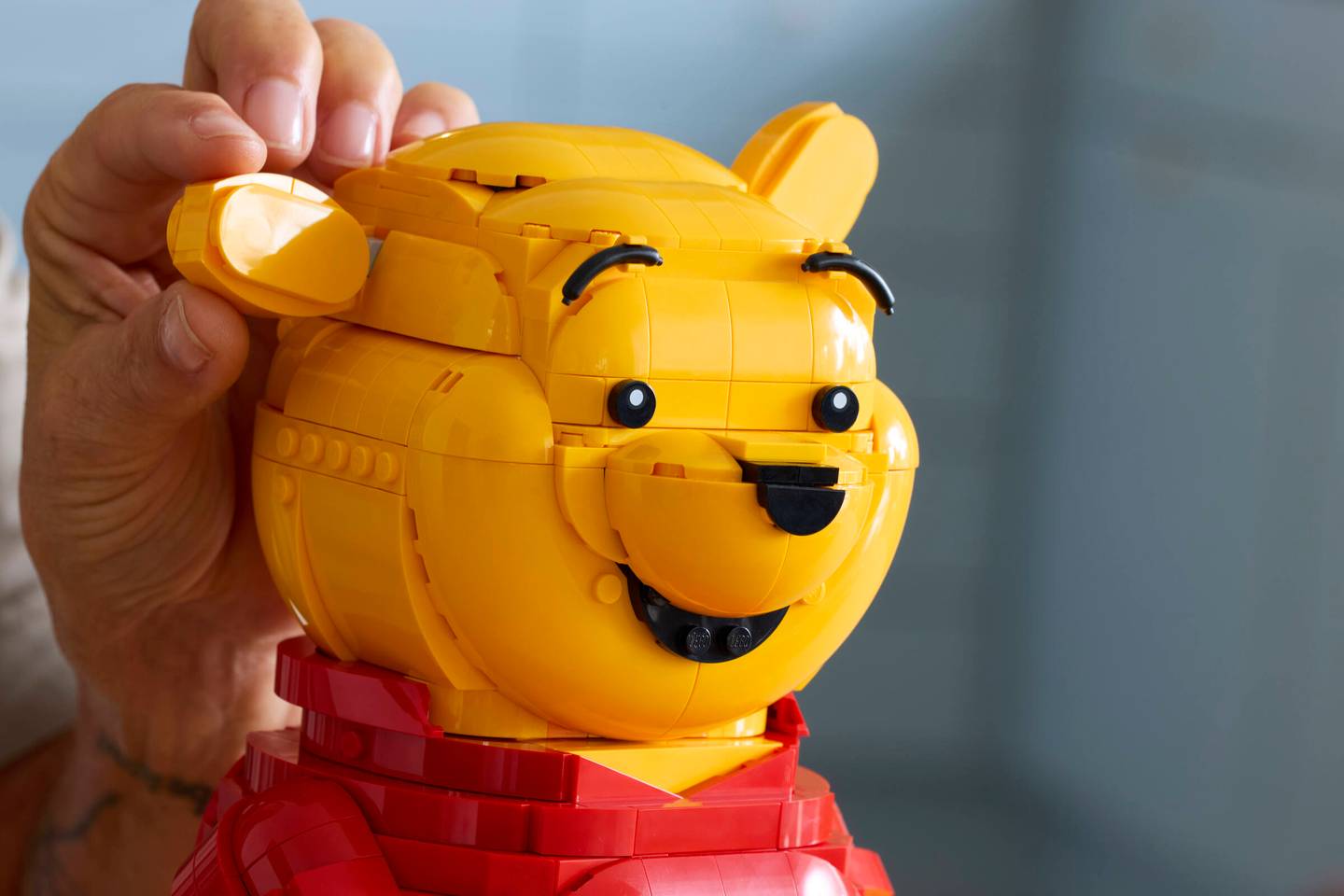 LEGO® | Disney: Winnie the Pooh (43300)