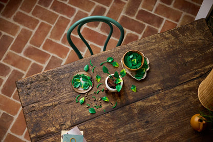 LEGO® | Botanicals: Hanging Golden Pothos (11512)