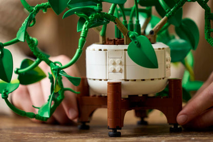 LEGO® | Botanicals: Hanging Golden Pothos (11512)