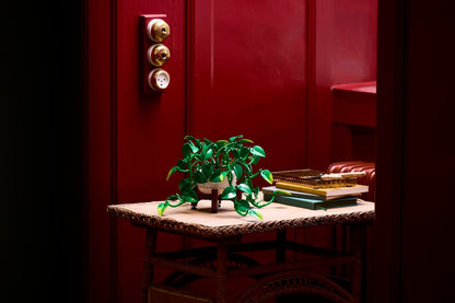 LEGO® | Botanicals: Hanging Golden Pothos (11512)