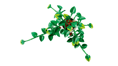 LEGO® | Botanicals: Hanging Golden Pothos (11512)