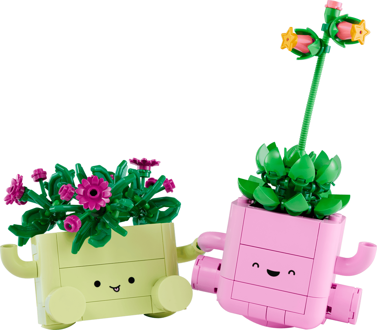 LEGO® | Botanicals: Rocking Plants (11506)
