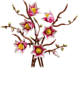 LEGO® | Botanicals: Magnolia Branches (11510)