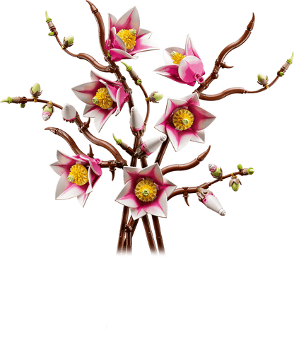 LEGO® | Botanicals: Magnolia Branches (11510)