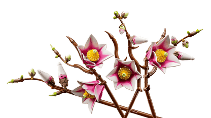 LEGO® | Botanicals: Magnolia Branches (11510)
