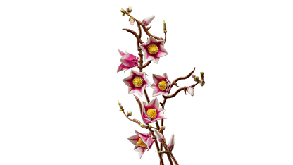 LEGO® | Botanicals: Magnolia Branches (11510)