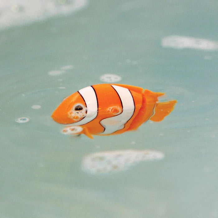 CLOCKWORK CLOWN FISH