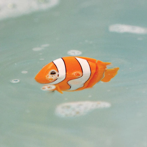 CLOCKWORK CLOWN FISH