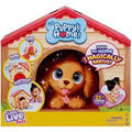 Little Live Pets My Puppy's Home - Blonde/Brown