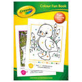 Crayola Colour Fun Activity Book