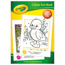 Crayola Colour Fun Activity Book
