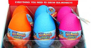 Sea Monkeys Mystery Eggs